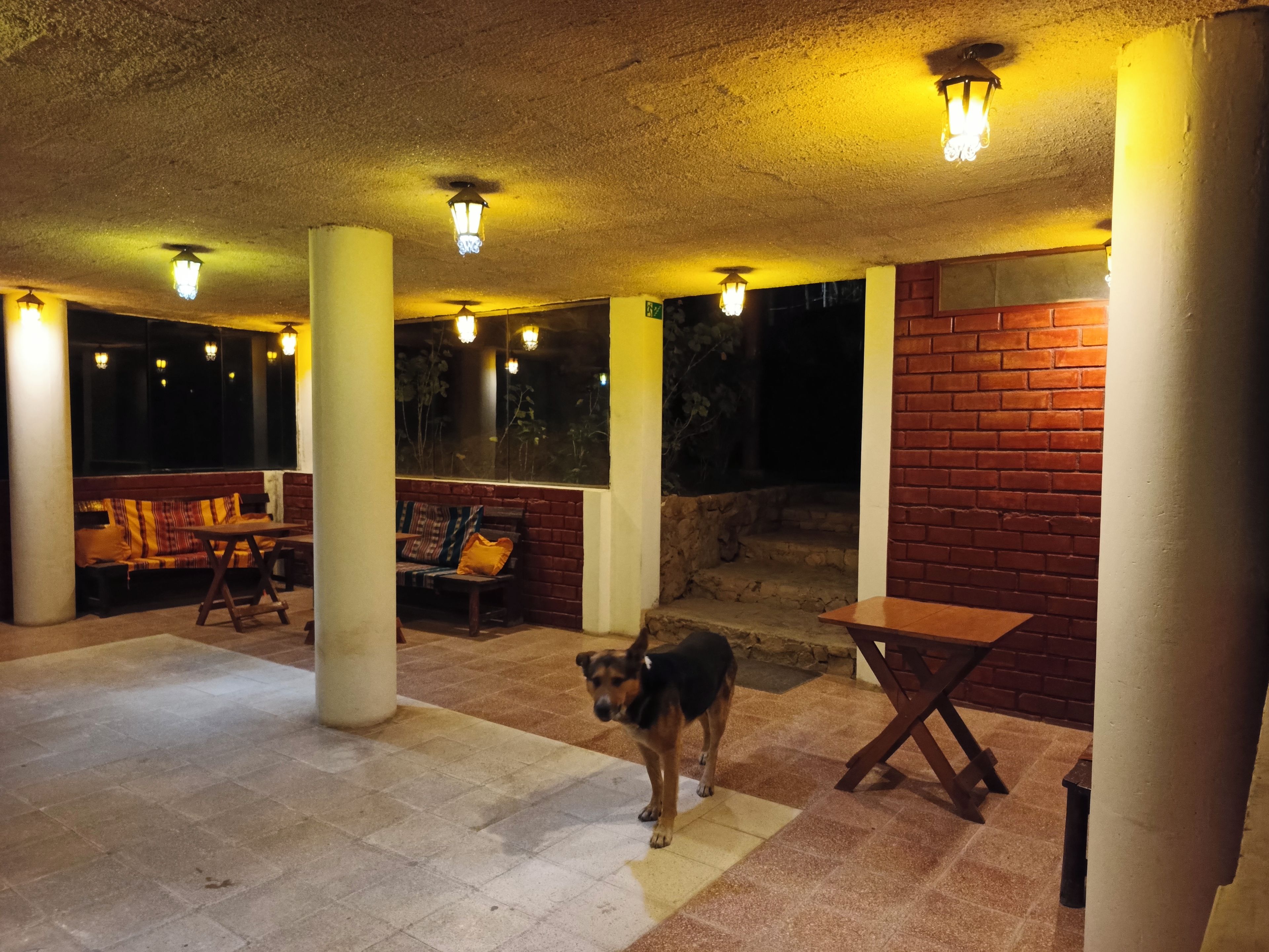 An outdoor seating area with a dog, stone flooring, and brick walls.