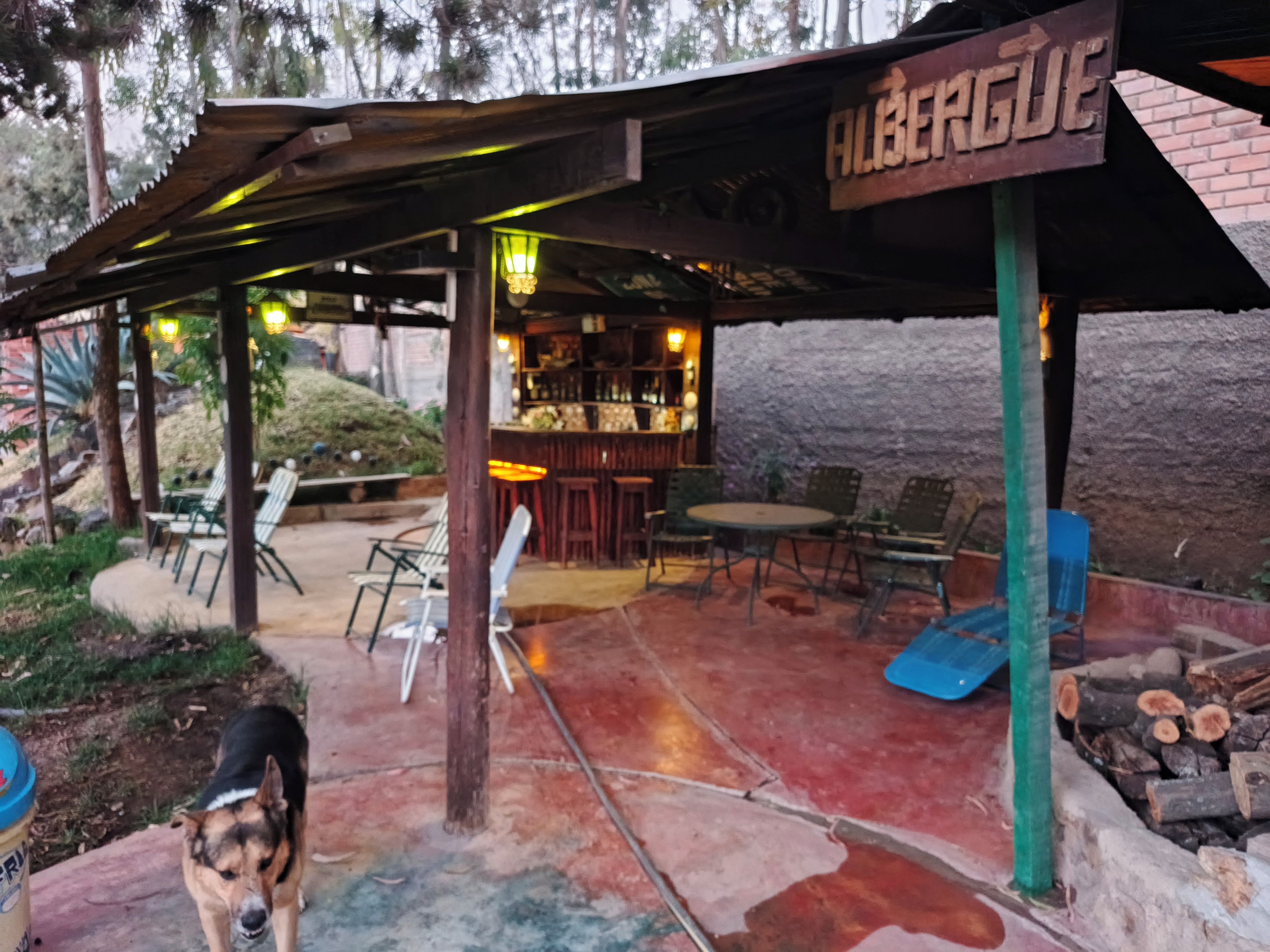 Ein Außenbereich mit Terrasse, einer Bar und Sitzgelegenheiten, sowie ein Hund.