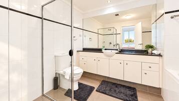 A modern bathroom with a glass shower enclosure, a toilet, a sink, and a mirror.