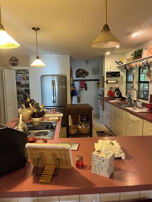 A kitchen with a central island, a refrigerator, and a sink. There are hanging lights and a variety of kitchen utensils and appliances. - Mountain Refuge “Lord, You have been our refuge in every generation.”Ps 90:1 (Franklin)