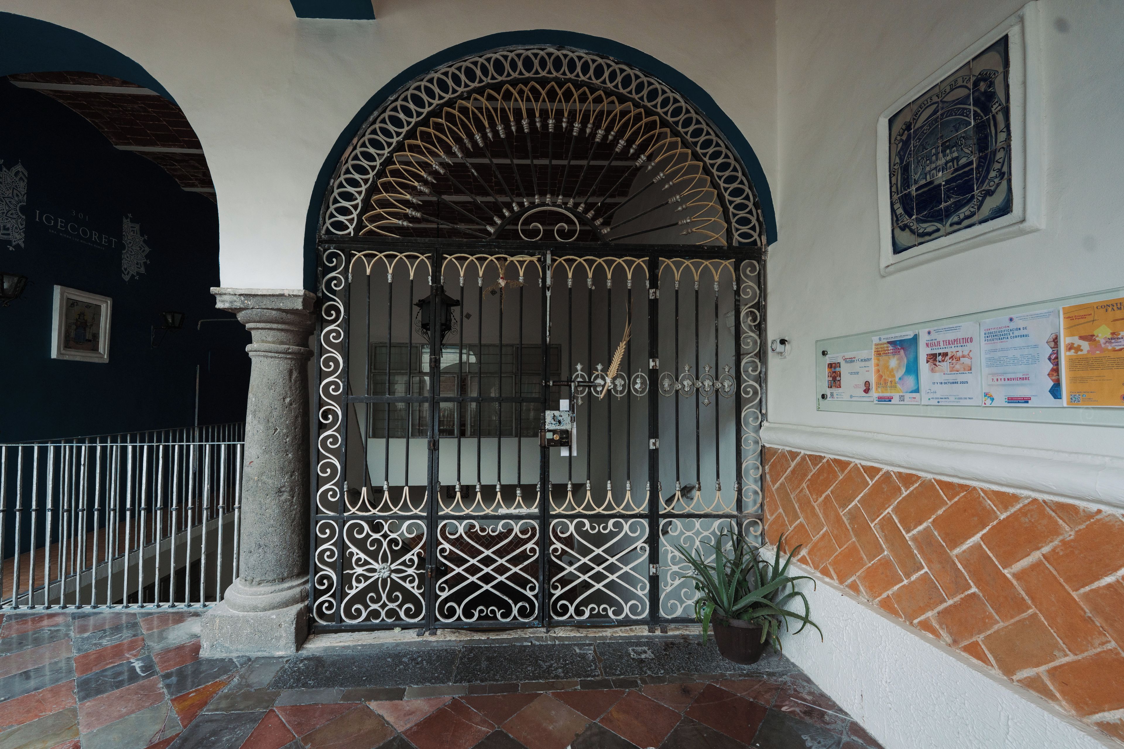 A gated entrance with decorative ironwork, a potted plant, and a wall with a bulletin board.