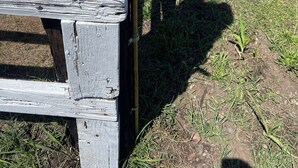 Een houten omheining met een metalen poort, een grasveld en een klein gebouw op de achtergrond.