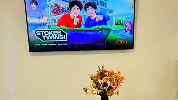 A television mounted on a wall displaying the Netflix series 'Stokes Twins.'