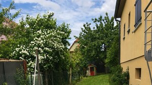 Property grounds - Vrbo Property (Obermorschwihr)