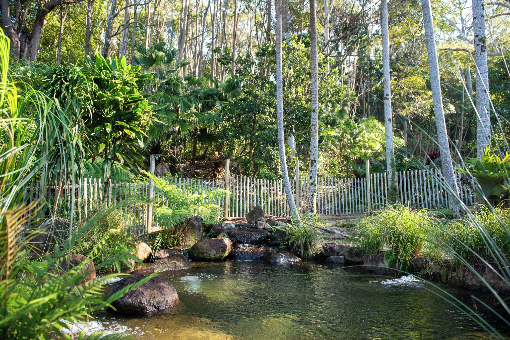 A serene garden with a small pond, surrounded by lush greenery and a wooden fence.