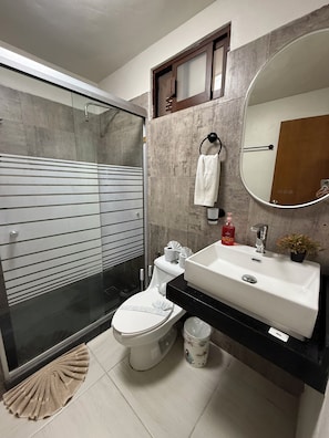 Ein modernes Badezimmer mit Duschkabine aus Glas, Toilette mit dekorativem Sitzkissen, Waschbecken mit Spiegel und einer kleinen Topfpflanze.