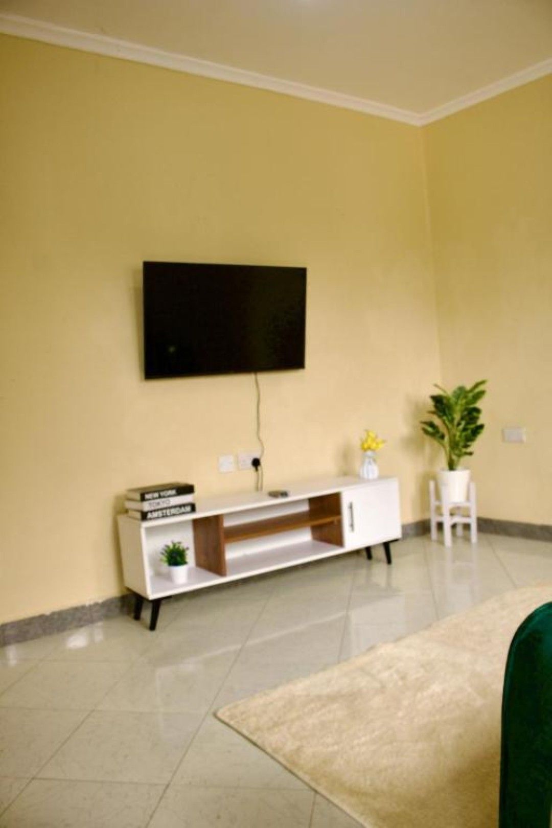 Un salon avec un téléviseur à écran plat fixé au mur, un meuble de rangement blanc contenant des livres et une plante, et une petite chaise blanche.
