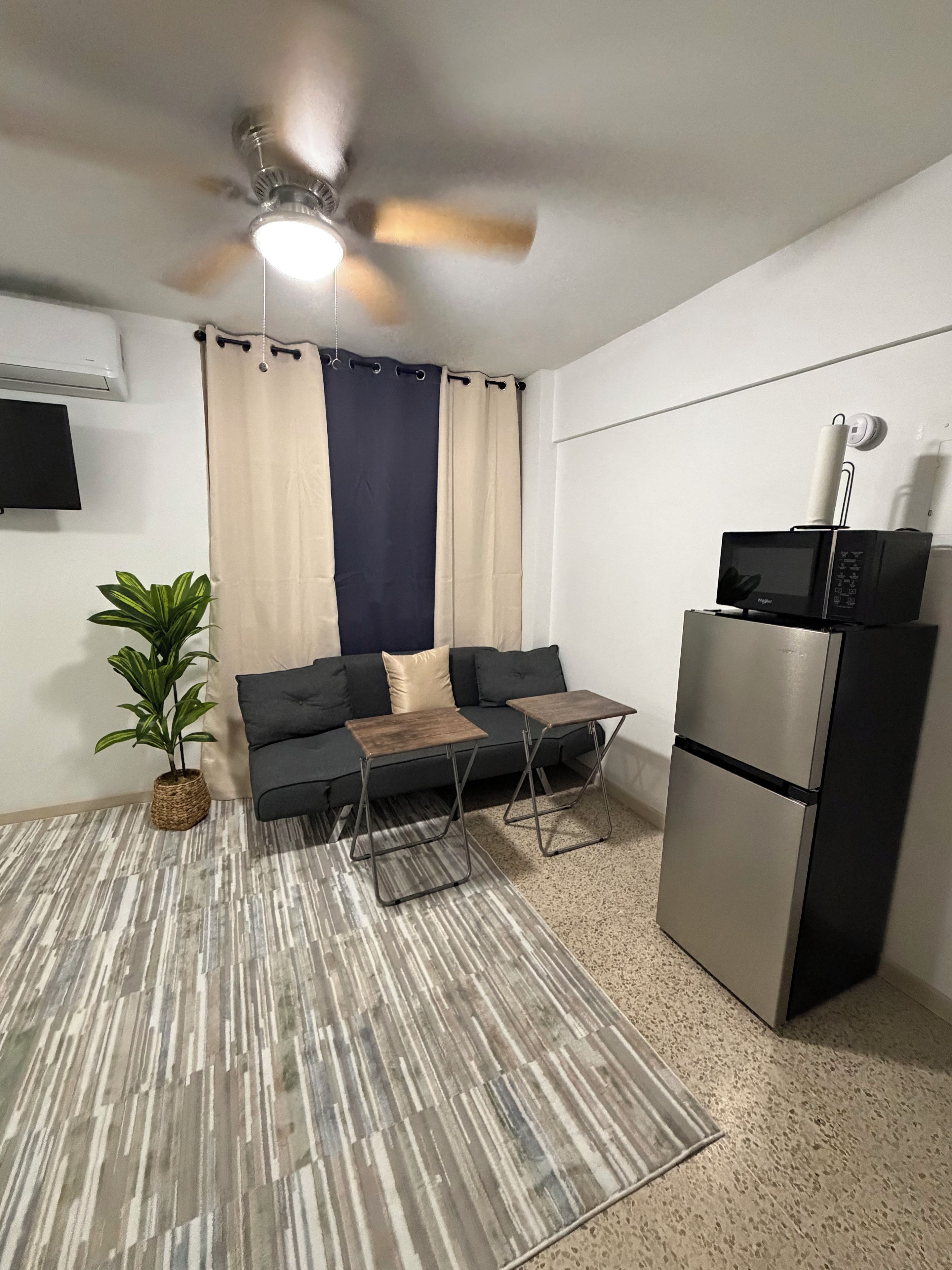 Un espace de vie compact comprenant un canapé, deux tables d’appoint, une plante en pot, un ventilateur de plafond, un four à micro-ondes et un réfrigérateur.