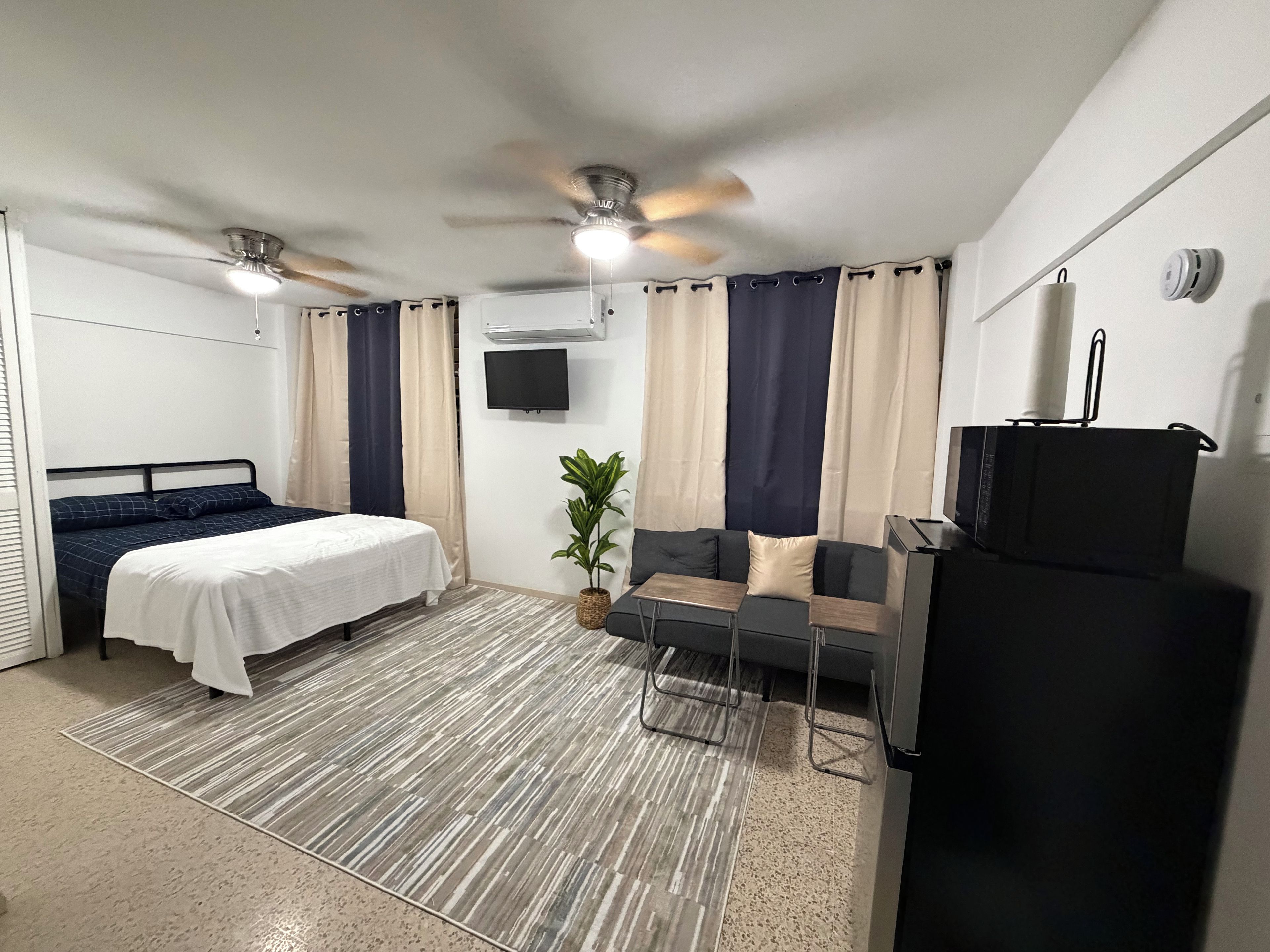 Une chambre à coucher avec un lit, un canapé, une télévision, un ventilateur de plafond et une petite plante.