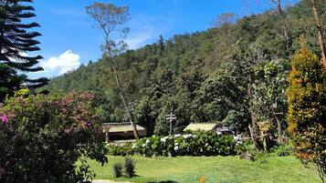 Un jardín con un sendero que lleva a un edificio rodeado de árboles y arbustos.