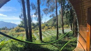 View from room - Merbabu Park (Kabupaten Semarang)