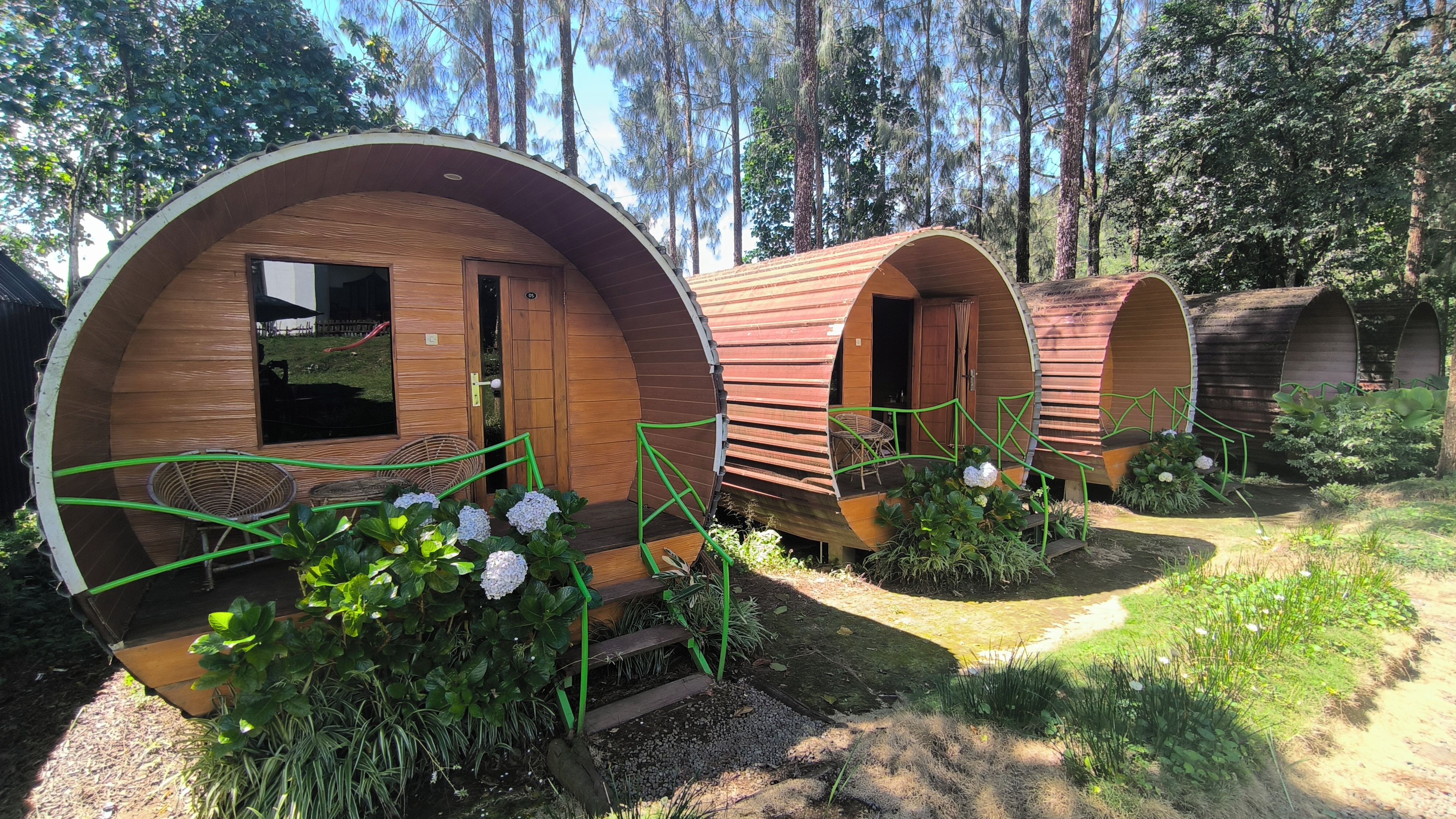 A row of wooden dome-shaped cabins with windows and doors, surrounded by greenery and trees.
