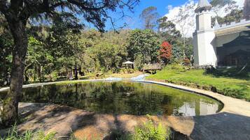 A tranquil pond with a wooden bridge, surrounded by lush greenery and a white building with a tower.
