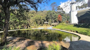 A tranquil pond with a wooden bridge, surrounded by lush greenery and a white building with a tower.