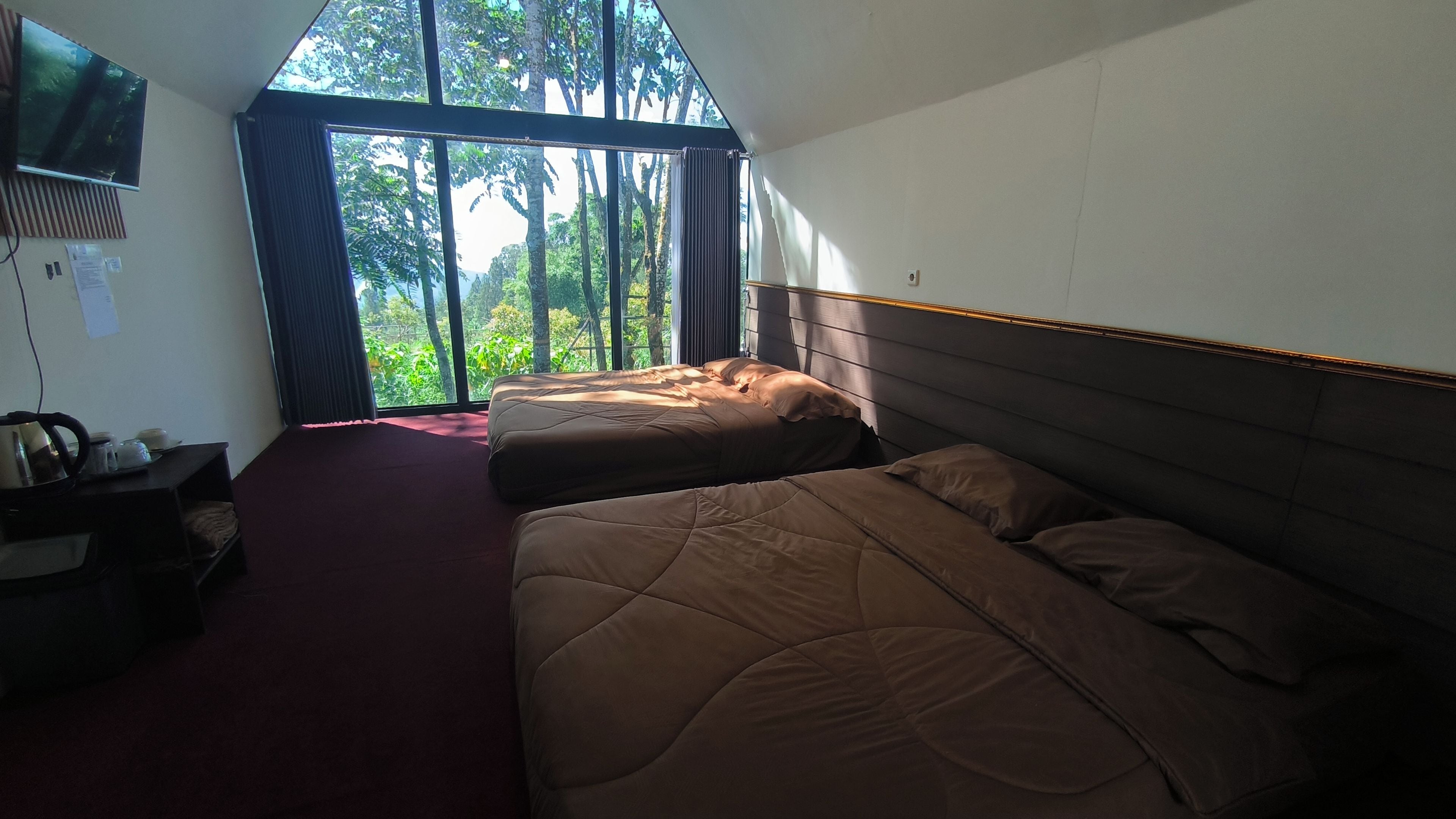 A hotel room with two beds, a TV mounted on the wall, and a large window with a view of greenery.