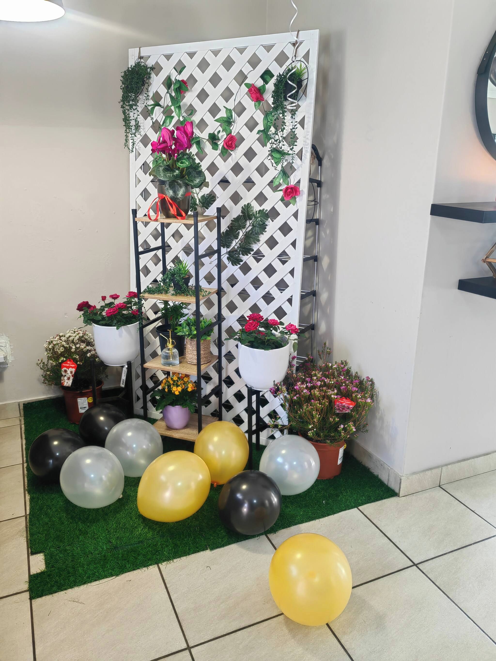 A room with a white lattice partition, potted plants, and balloons on a tiled floor.