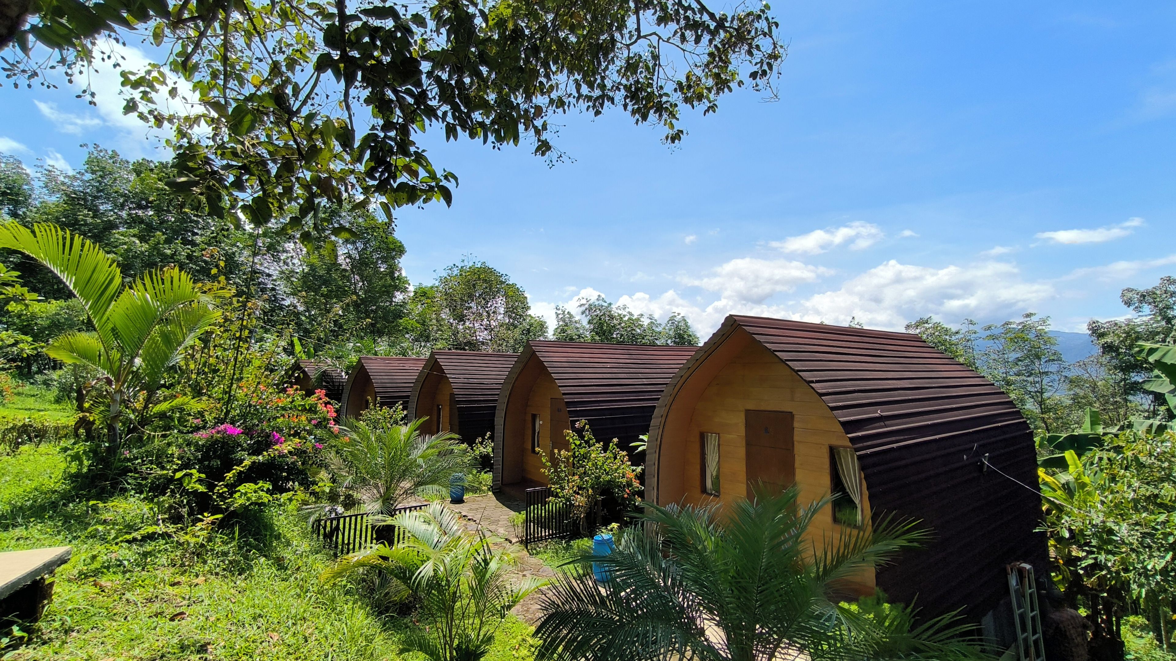 Une rangée de cabanes aux toits incurvés et à l’architecture unique, entourées d’une végétation luxuriante et surplombées par un ciel bleu azur.