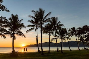 Ein Strand mit Palmen und einem Sonnenuntergang.
