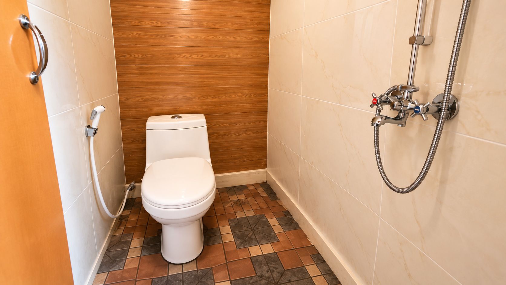 A small bathroom with a toilet, a shower, and a handrail.