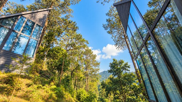 A modern building with large glass windows and a natural forest backdrop.