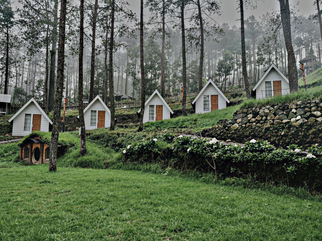 A row of small, white cabins with wooden shutters, surrounded by a forested area with tall trees and a stone wall.
