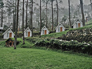 A row of small, white cabins with wooden shutters, surrounded by a forested area with tall trees and a stone wall.