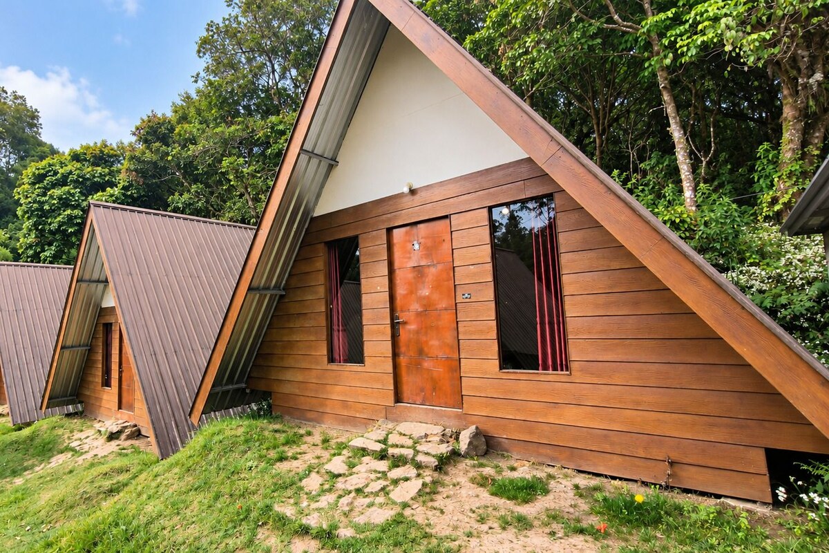 Comfort Tent | WiFi (free), bed sheets