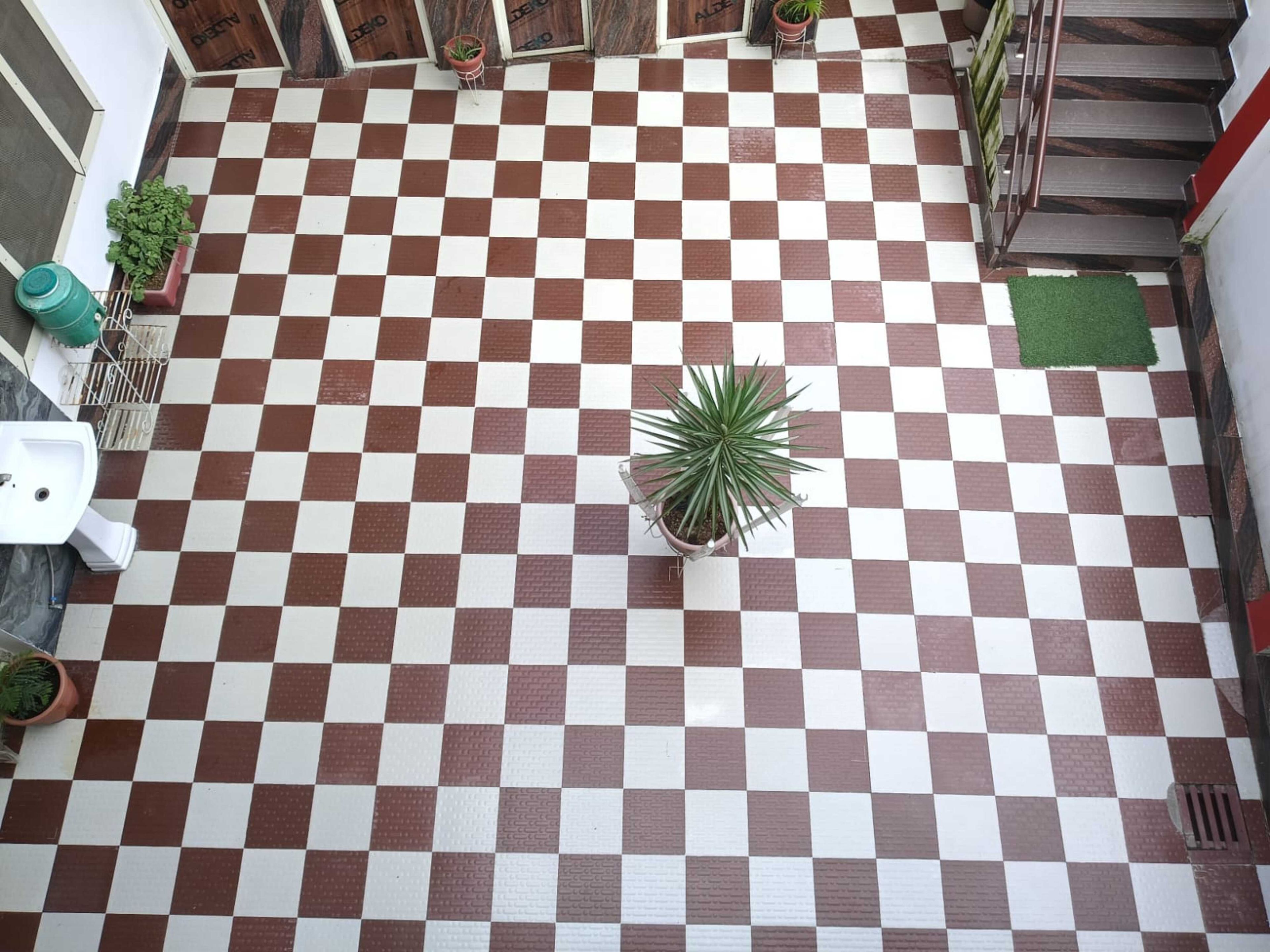 Un suelo a cuadros con plantas en macetas y una escalera.
