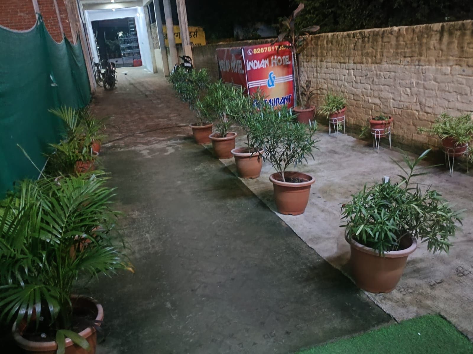 Un sendero bordeado por plantas en macetas que conduce a la entrada de un edificio.