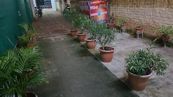 Un sendero bordeado por plantas en macetas que conduce a la entrada de un edificio.