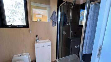 A modern bathroom with a glass shower enclosure, a sink with a soap dispenser, and a mirror above the sink.