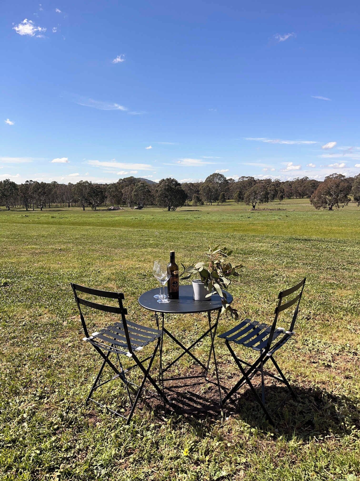 An outdoor table with chairs in a grassy field, a bottle, and a glass.