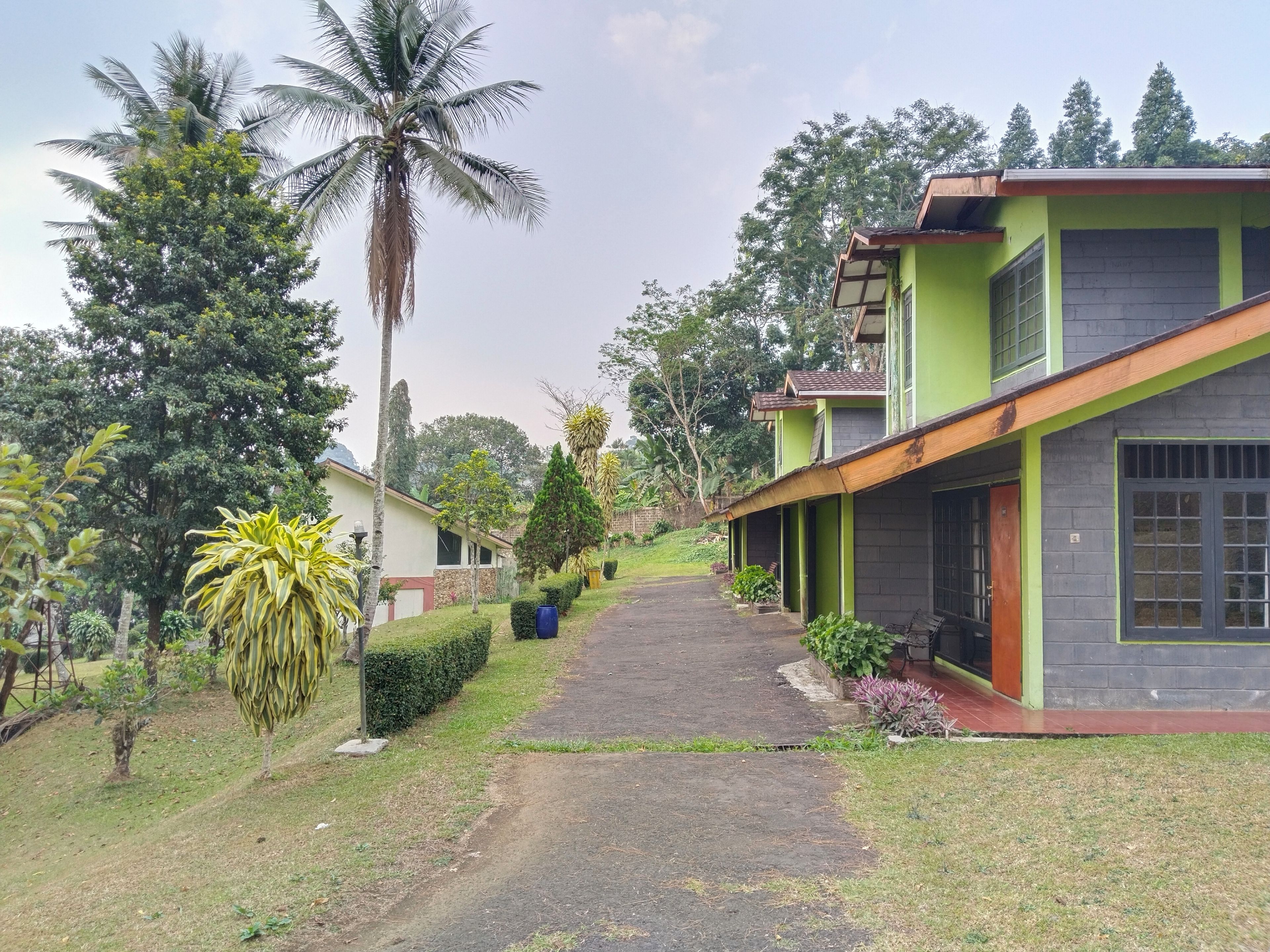 A pathway leading to a building with a green facade, surrounded by lush greenery and palm trees.