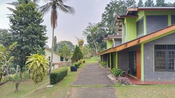 A pathway leading to a building with a green facade, surrounded by lush greenery and palm trees.