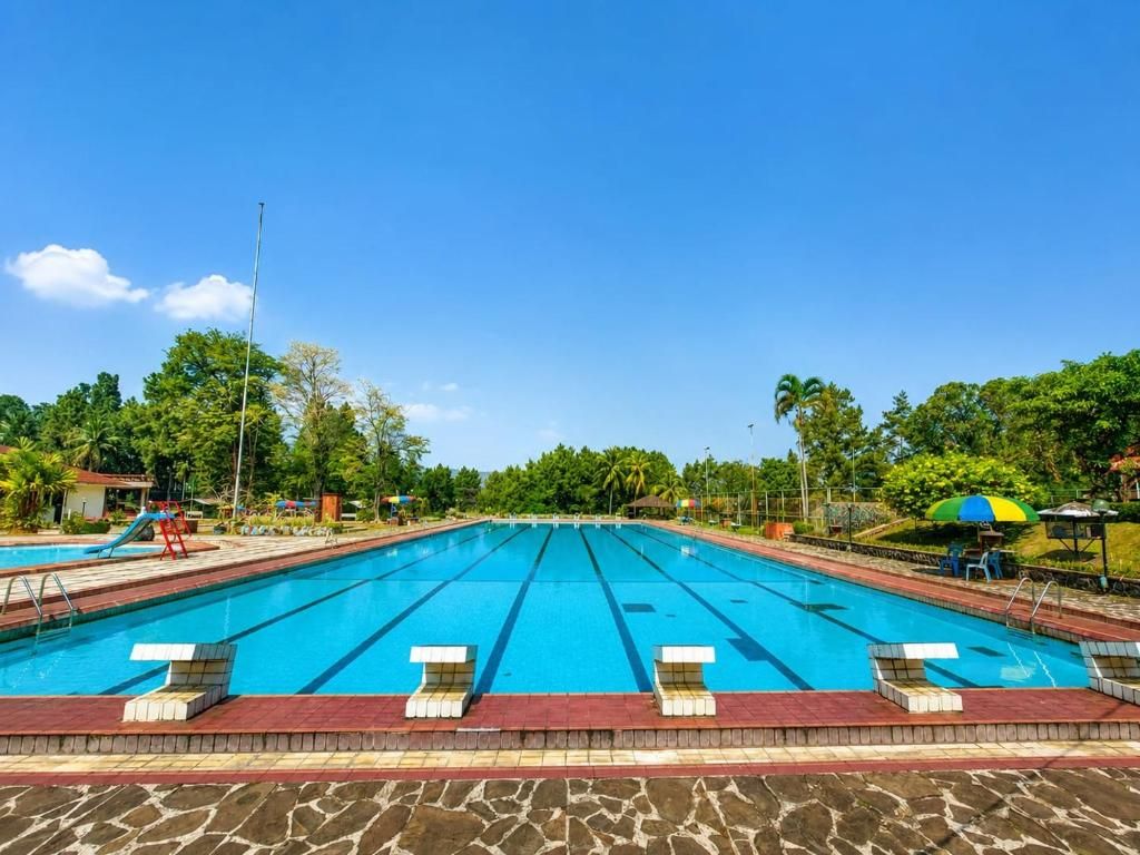 Una amplia piscina al aire libre con varias pistas, rodeada por un solárium de piedra y follaje.