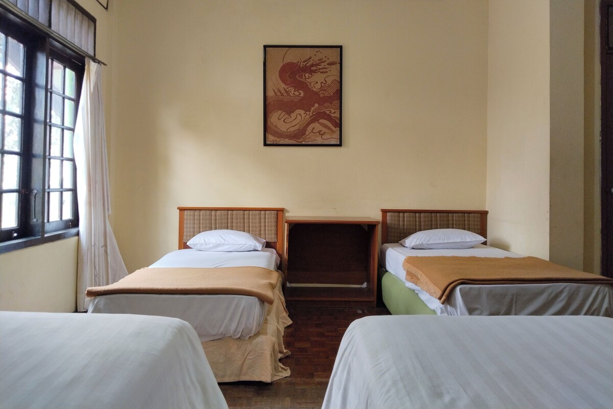 Habitación doble Premier | Wifi gratis y ropa de cama 