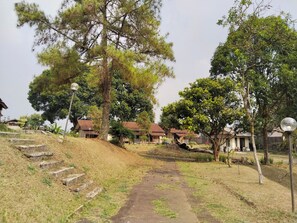 A pathway leading to a residential area with houses, trees, and a lamp post.