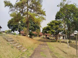 Un sendero que conduce a una zona residencial con casas, árboles y una farola.