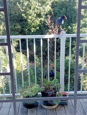 A balcony with a white railing, potted plants, and a bird perched on the railing. - Water Brook 2 B/R Studio Apt (Hamilton)