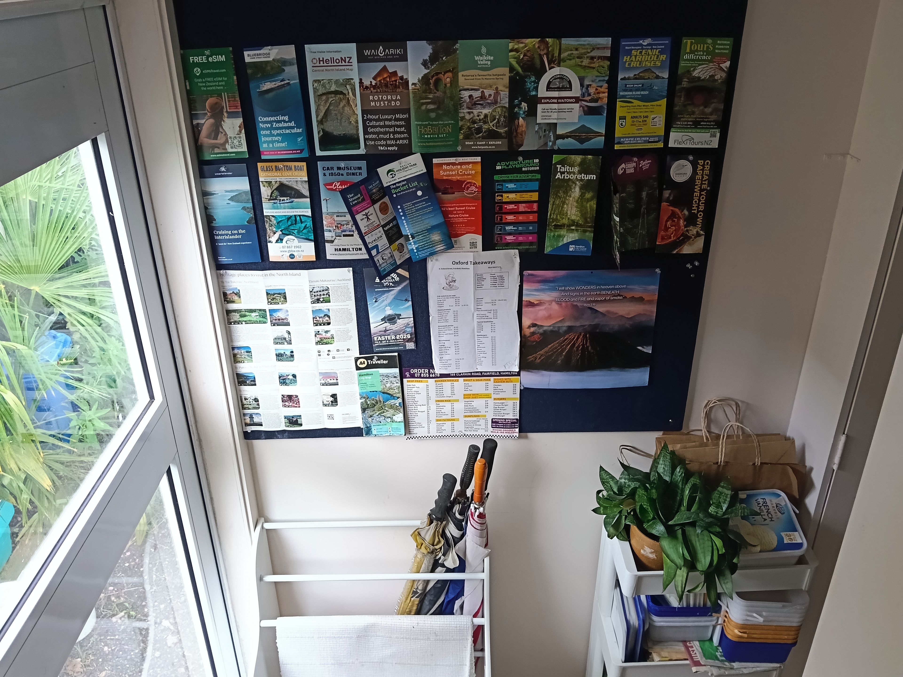 Un panneau d’affichage où sont accrochées des brochures de voyage, avec vue sur la verdure par la fenêtre.