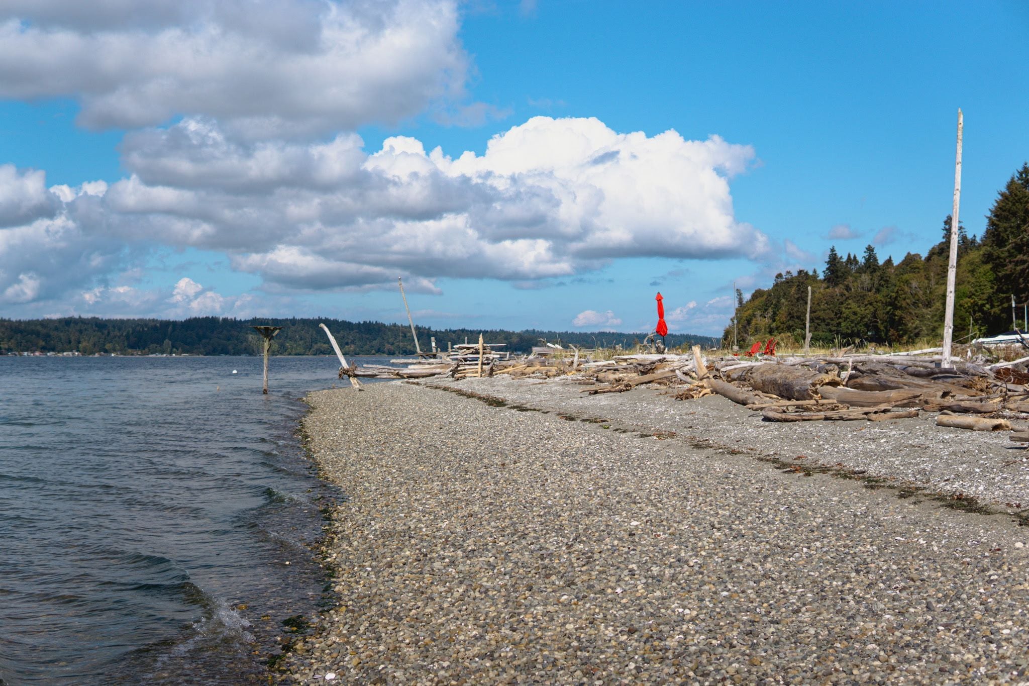 En strand med småsten, drivved och en fyr i fjärran.