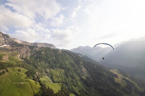 Unclassified image, 5 of 6, button - Le Communal (Val-d'Illiez)
