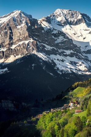 Unclassified image, 3 of 6, button - Le Communal (Val-d'Illiez)