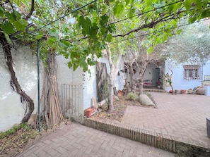 Un patio con sendero de ladrillo, pared blanca y árbol con frutos colgantes.