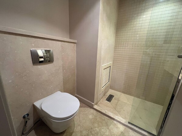 Casa de banho com sanita, chuveiro com porta de vidro e painel de comandos na parede.