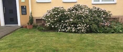 Un bâtiment à la façade sobre, avec une porte noire et trois fenêtres équipées de stores. On y trouve une pelouse bien entretenue et un arbuste aux fleurs roses.