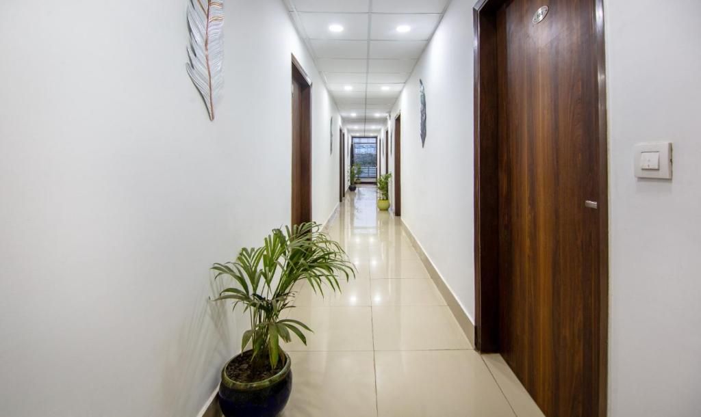 Un pasillo limpio y bien iluminado con puertas de madera y plantas en macetas.