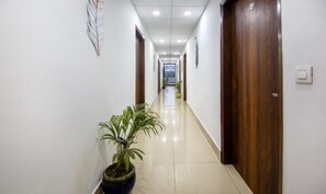 A clean, well-lit hallway with wooden doors and potted plants. - Hotel Divine India Noida Sector 135 (Noida)