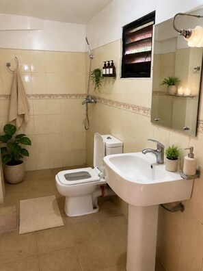 Shower, free toiletries, hair dryer (on request), towels - Channa Hotel and Rest Labookellie (Nuwara Eliya)