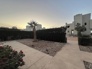 A residential area with a paved walkway, a palm tree, and a hedge.